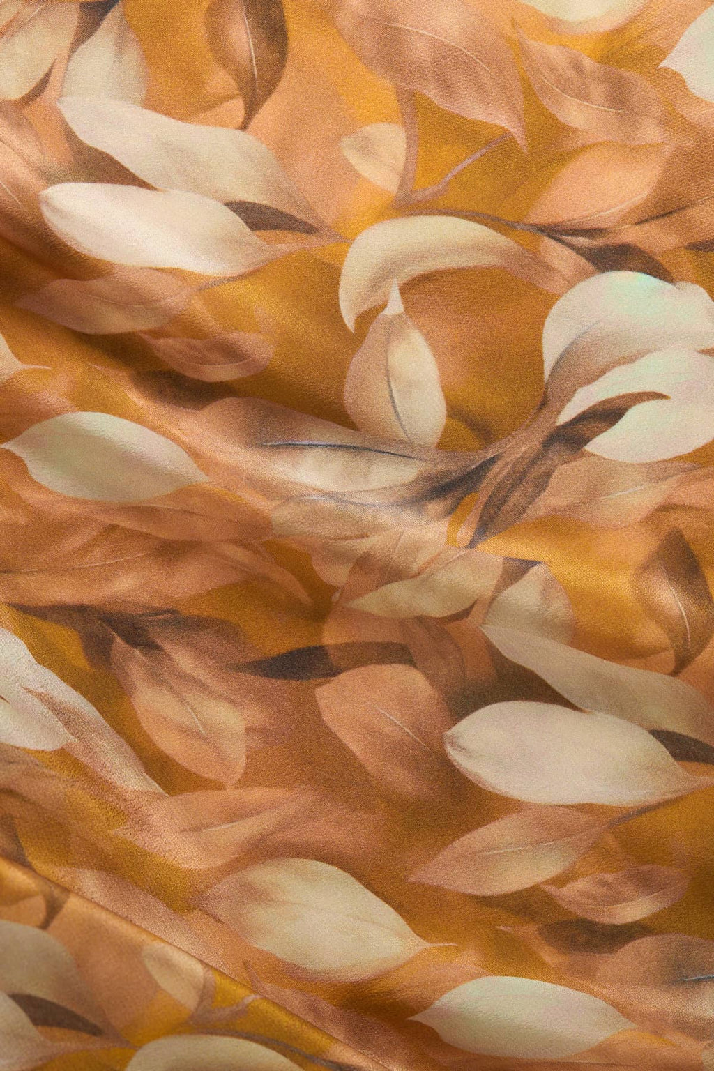 ذهب الصحراء